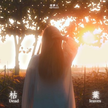 枯葉 Dead leaves