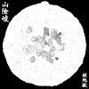 須彌沙 Sand of Sumeru
