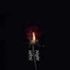 Night- Brusa