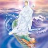 '09观音菩萨偈