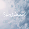 soundcloud(demo)