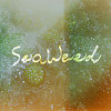 seaweed (demo)