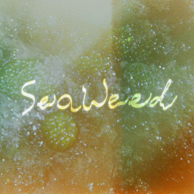 seaweed (demo)