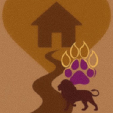 小獅-閔鴻（彰化少年 Rise Up家）