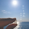 陪你去海邊撿撿石頭