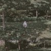 Baby（Demo）