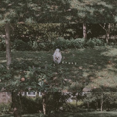 Baby（Demo）