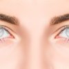 Bright eyes