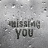 Missing You