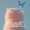 08. Cundi Dharani｜準提媽媽