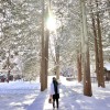 積雪 Snow Covered Road