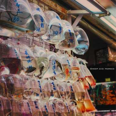 Tiger, Vine, the Strawberry