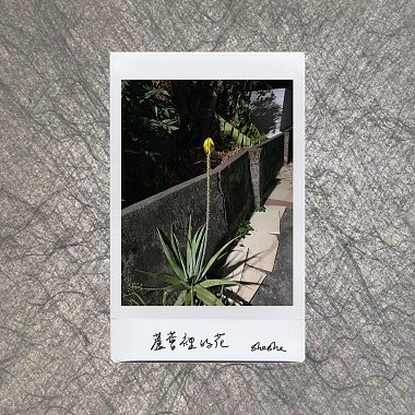 蘆薈裡的花 by sheshe (demo)