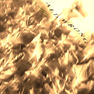 ▙ ▚ ▛ALL WRONG ▜ ▞ ▟