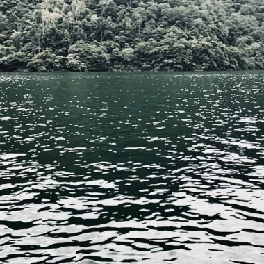 calmly