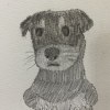 秋が来た