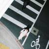 自由鳥demo