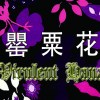 【罌粟花】觸電般的麻痺