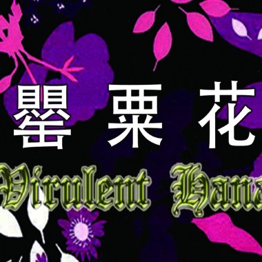 【罌粟花】觸電般的麻痺