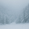 想帶你看雪 (Demo)