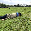 123木頭人