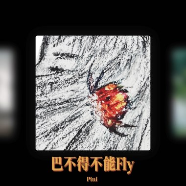 巴不得不能Fly