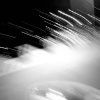 loop-20260708