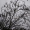 loop-20180723
