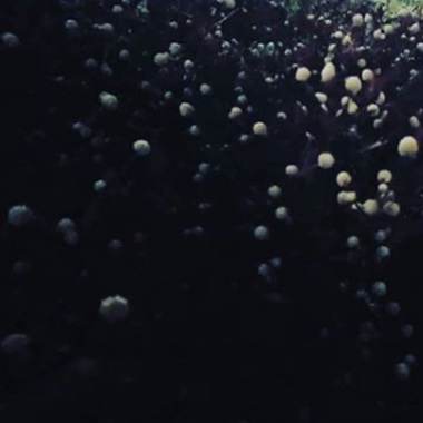 loop-20190508