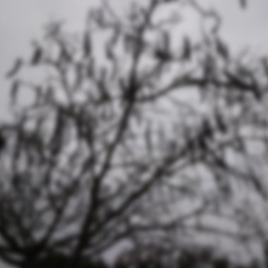 loop-20180413