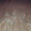 loop-20240522