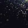 loop-20190501