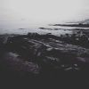 loop-20180826