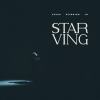 STAR VING