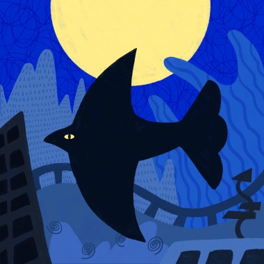 Midnight Flight