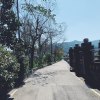 小狗子之歌(Demo)
