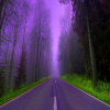 Lucid Dream 清醒夢