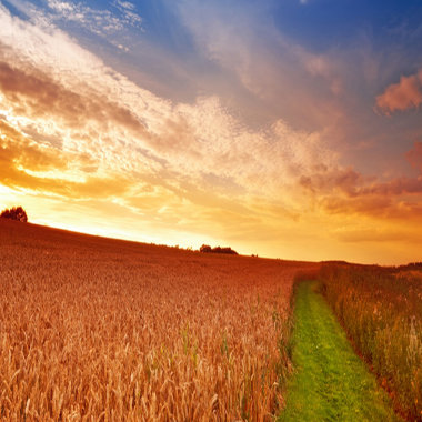 Lying in mind place
