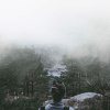 Into the mist