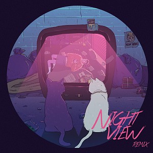 Night View (Remix) feat. T.I.G 鐵巨人
