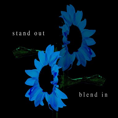 Stand Out Blend In