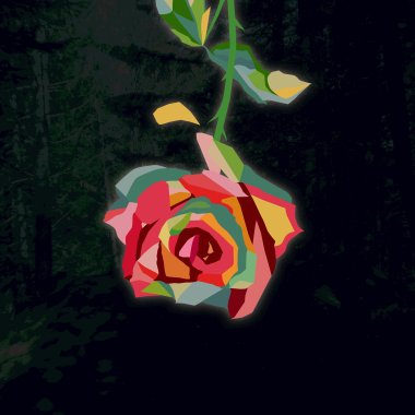Rose Petal