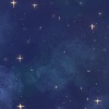 星空 demo