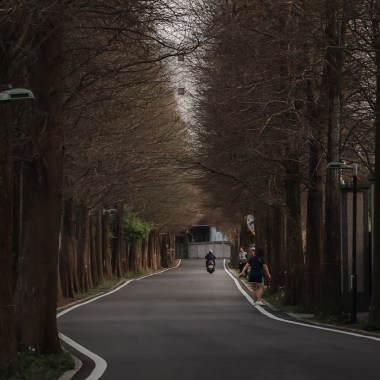 消失的回憶拼圖