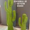 仙人掌(Live Demo)
