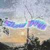 Soul Choice - Slow Down