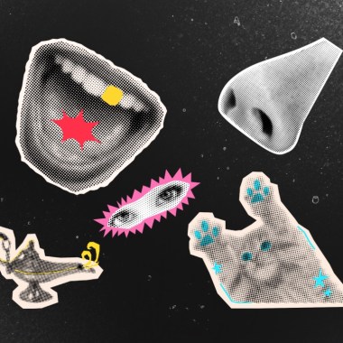 香氣（demo & Live）