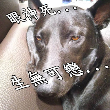 未爆彈