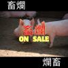 畜爛
