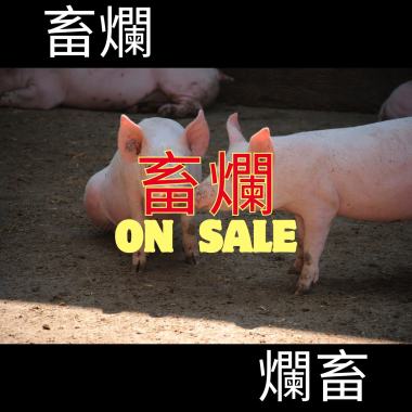 畜爛